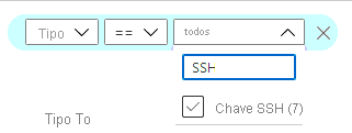 Captura de tela de como filtrar a lista para ver todas as suas chaves SSH.