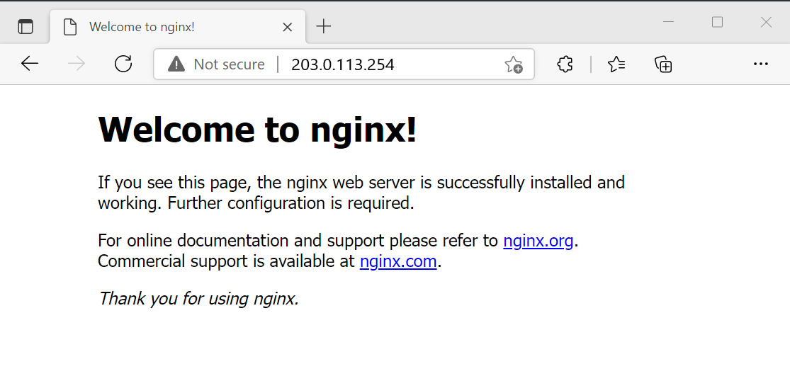 لقطة شاشة لاختبار خادم الويب NGINX.