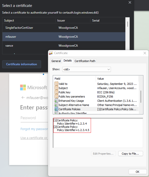 Screenshot that shows the authentication details.