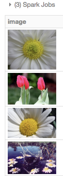 عرض صورة DataFrame