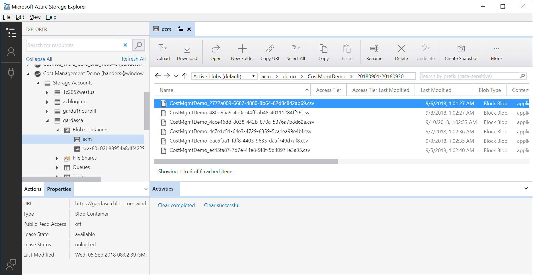 لقطة شاشة تعرض معلومات المثال في Storage Explorer.