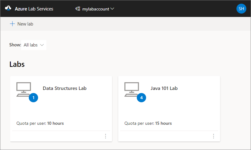لقطة شاشة تعرض قائمة المختبرات في موقع Azure Lab Services على الويب.