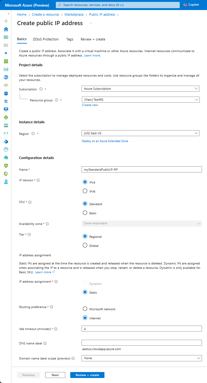 لقطة شاشة تعرض علامة التبويب Create public IP address Basics لإعداد Standard SKU وتوجيه الإنترنت.