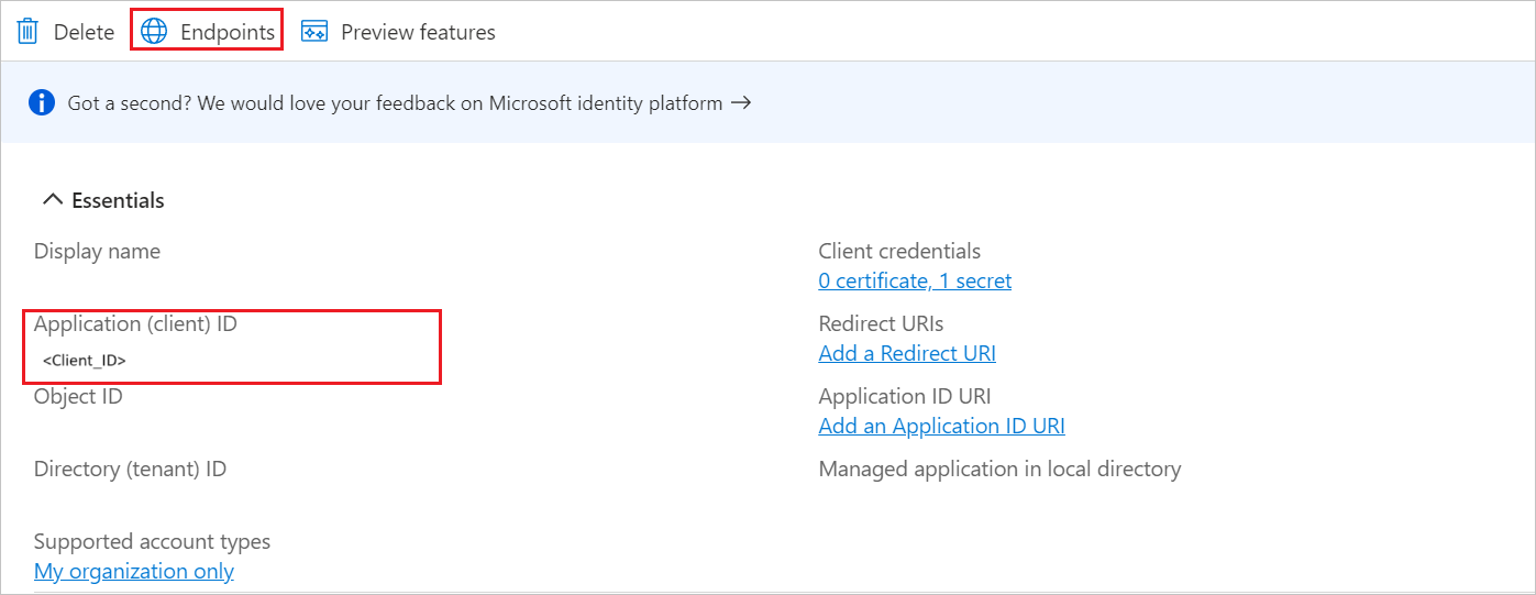 Screenshot of application client values.