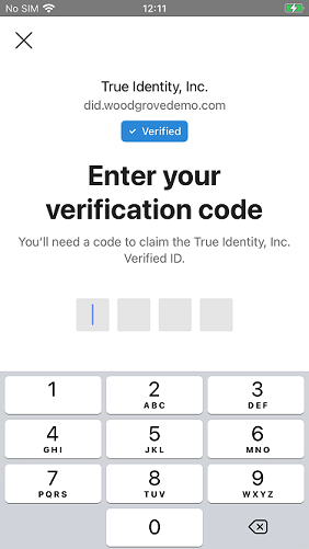 Screenshot of Microsoft Authenticator pin code entry screen with numeric keypad and Next button.