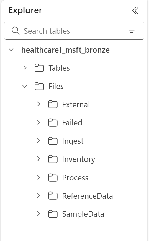 A screenshot displaying the OneLake folders for healthcare data solutions.