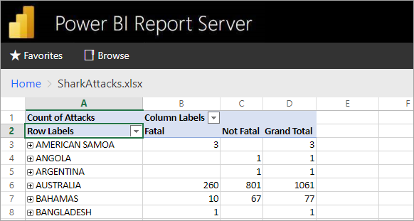 Screenshot of Excel reports viewed from the report server web portal.