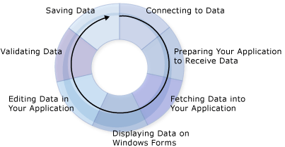 الرسم دورة البيانات