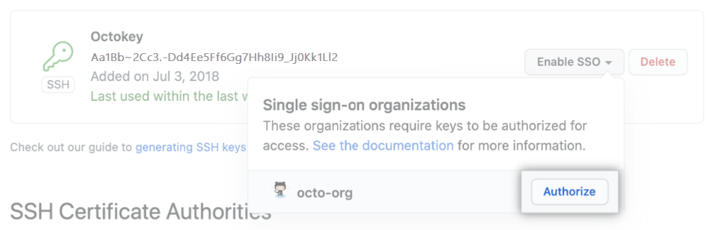 لقطة شاشة لمفتاح SSH.
