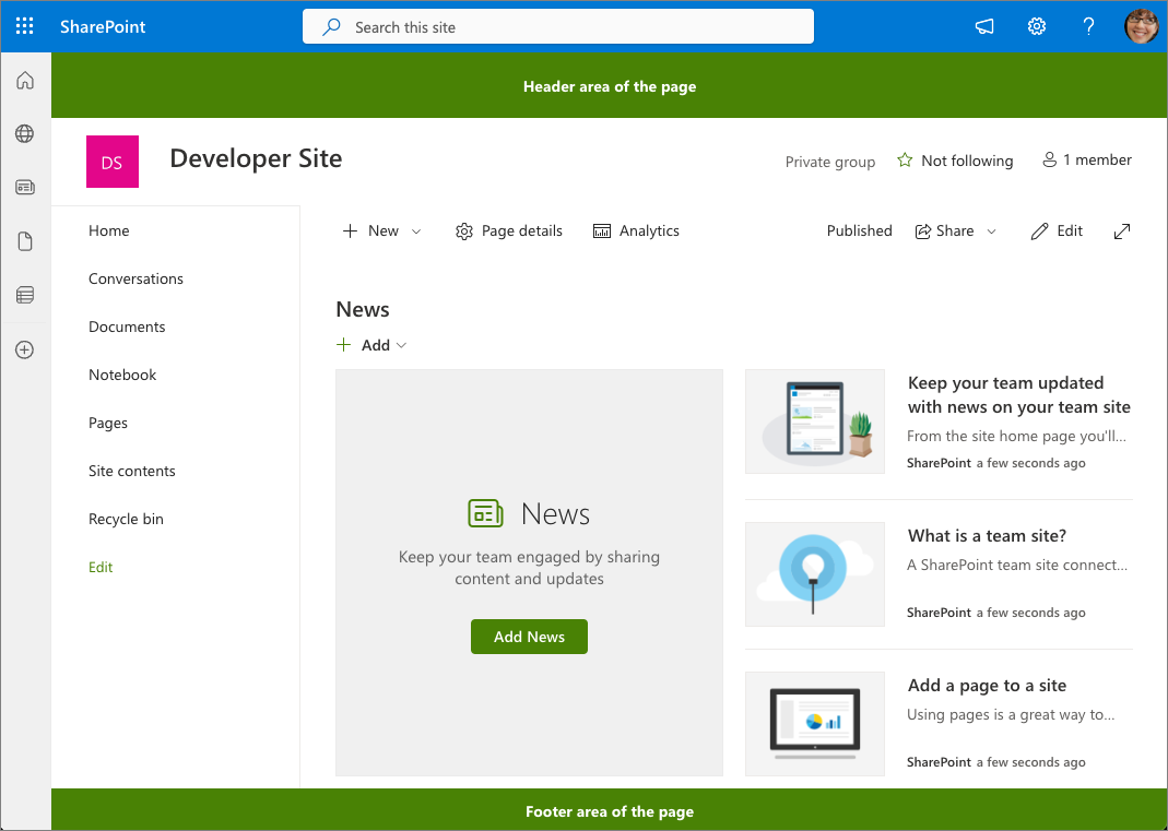 Screenshot displaying the application customizer placeholders.
