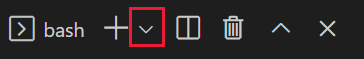 Screenshot of the Visual Studio Code terminal window with bash in the drop-down.