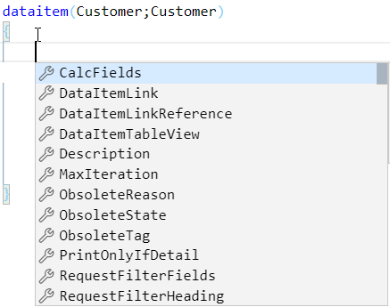Screenshot of the available customer data item properties.