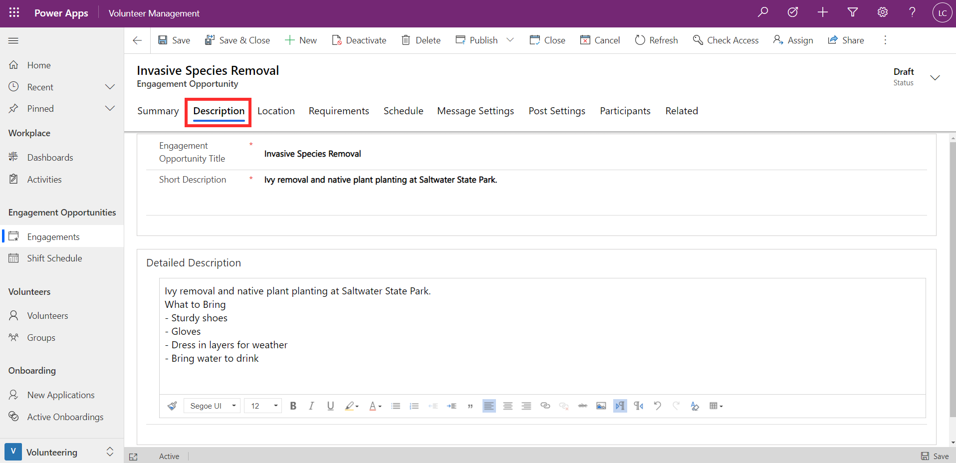 Screenshot example of the description tab.