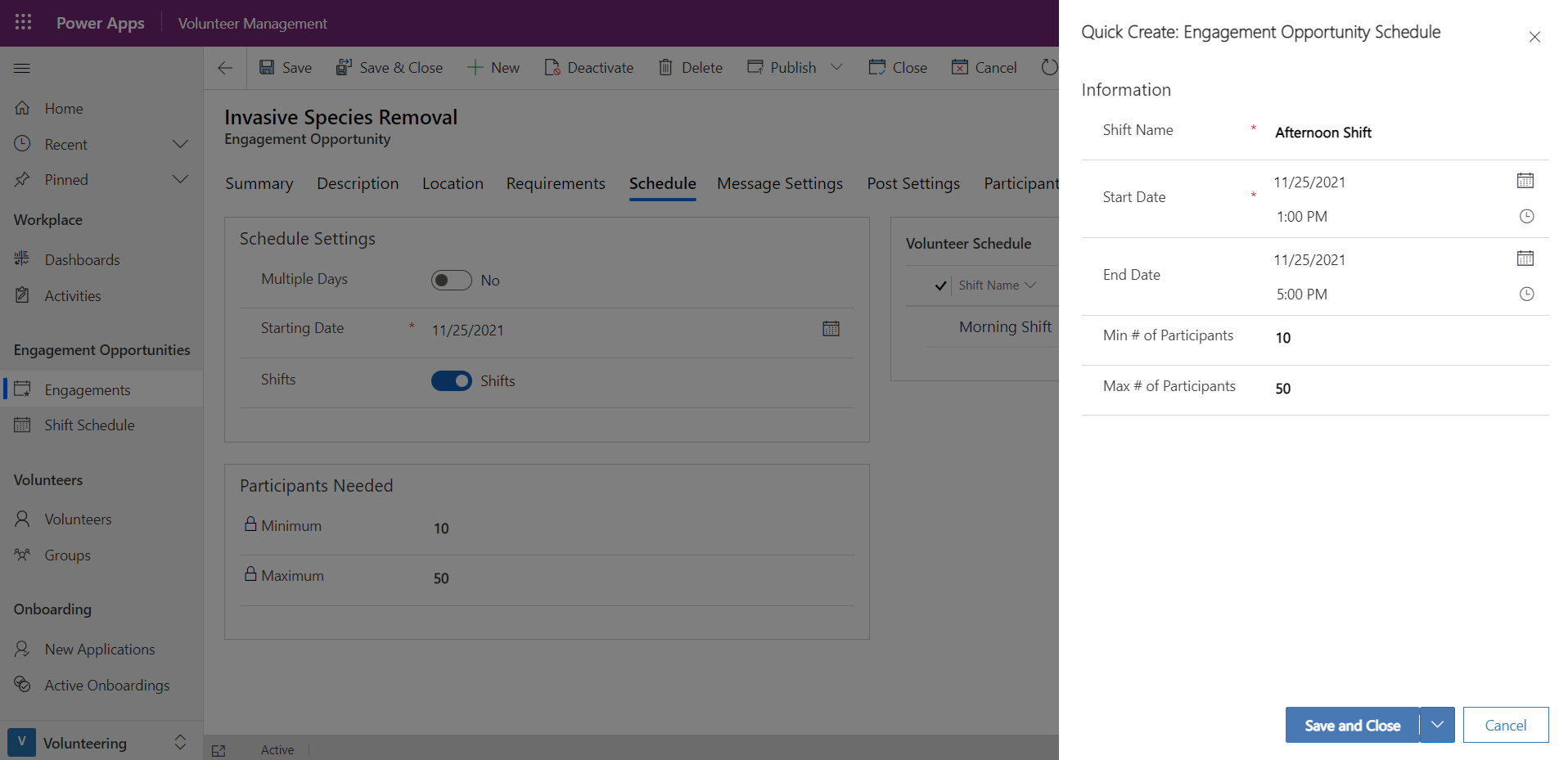 Screenshot example of shifts in the volunteer schedule section.