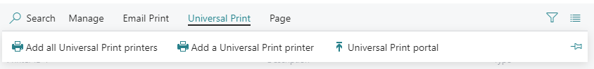 Screenshot of the Universal Print options.