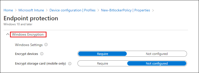 Screenshot of the Endpoint protection screen.