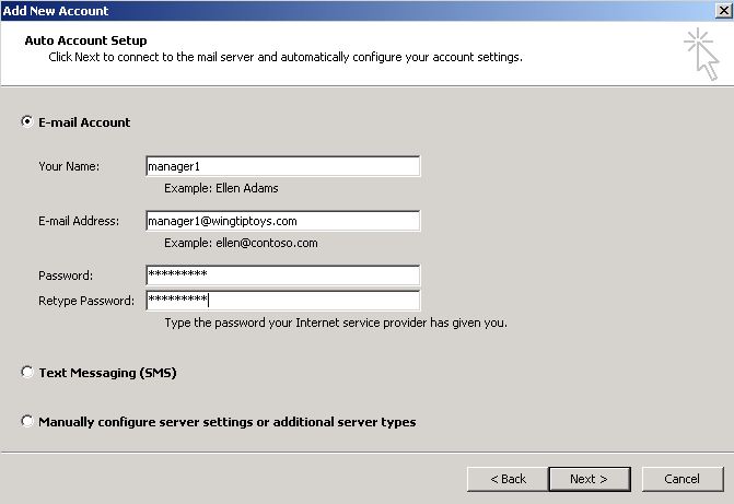 Screenshot that shows the Auto Account Setup section.