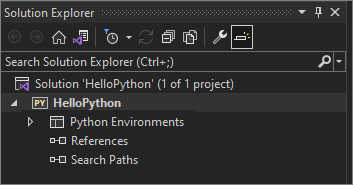 Screenshot that shows the newly created empty Python Web Project in the Solution Explorer.