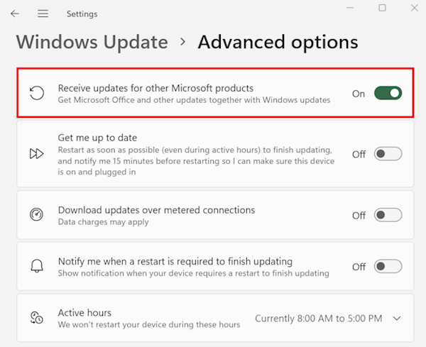 Windows Update Advanced options