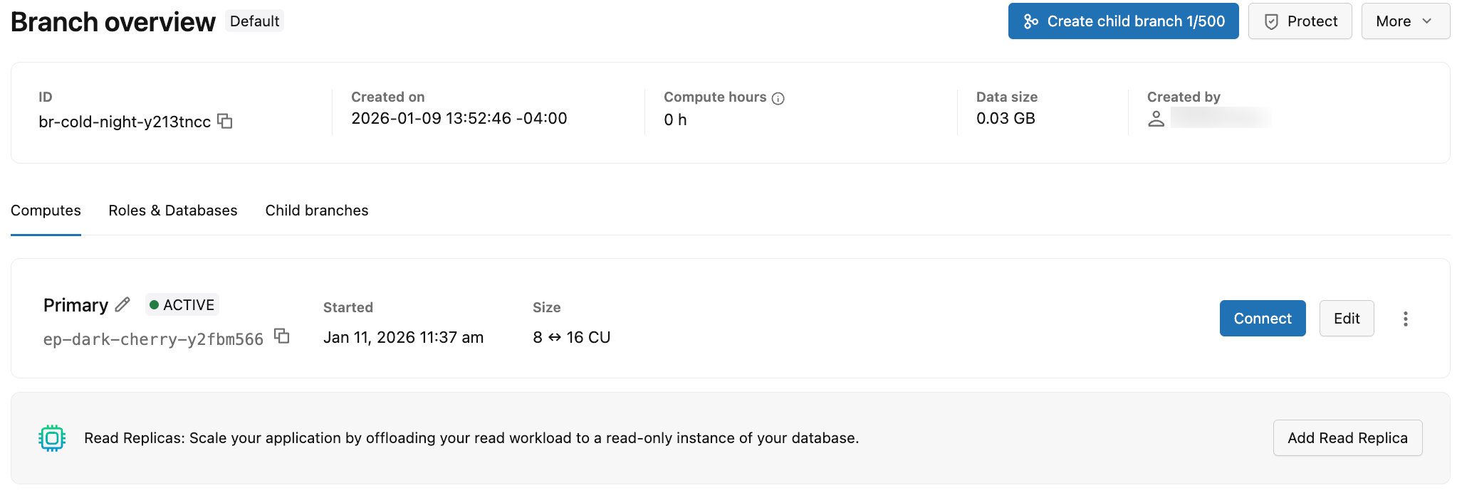 Computes tab showing compute information