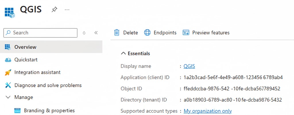 Screenshot of the Overview page displaying the Application (client) ID and Directory (tenant) ID values.