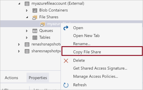 Copy File Share