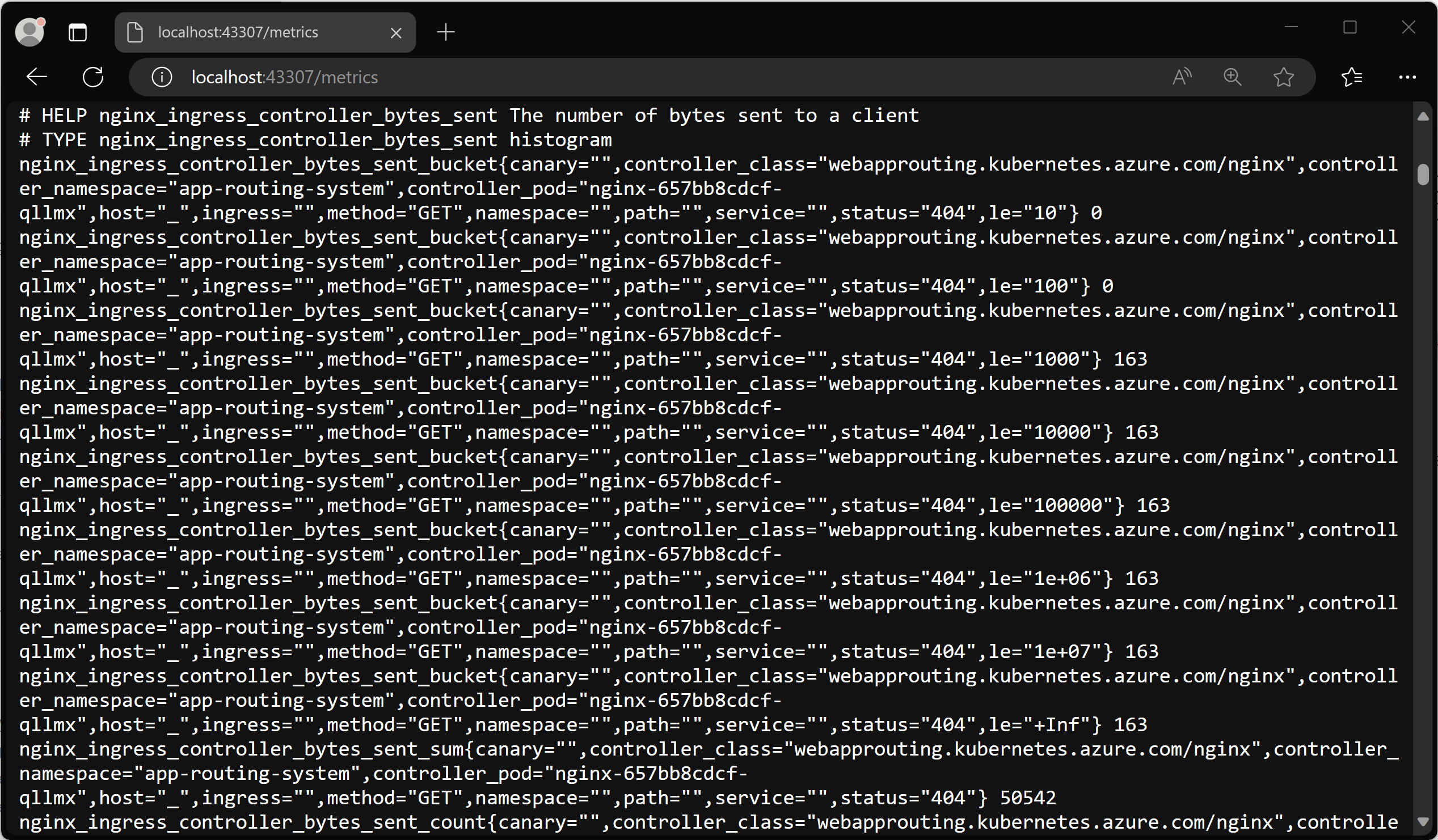 Screenshot of the Prometheus metrics in the browser.