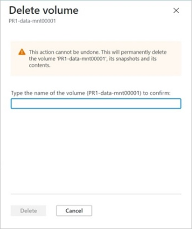 Screenshot that shows the Delete Volume window.