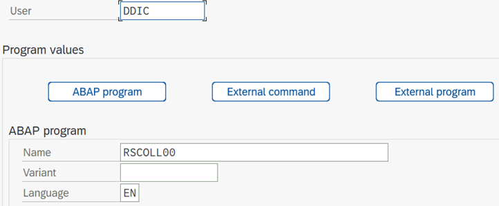 Screenshot of defining a user for the job used to monitor the SAP PAHI table.