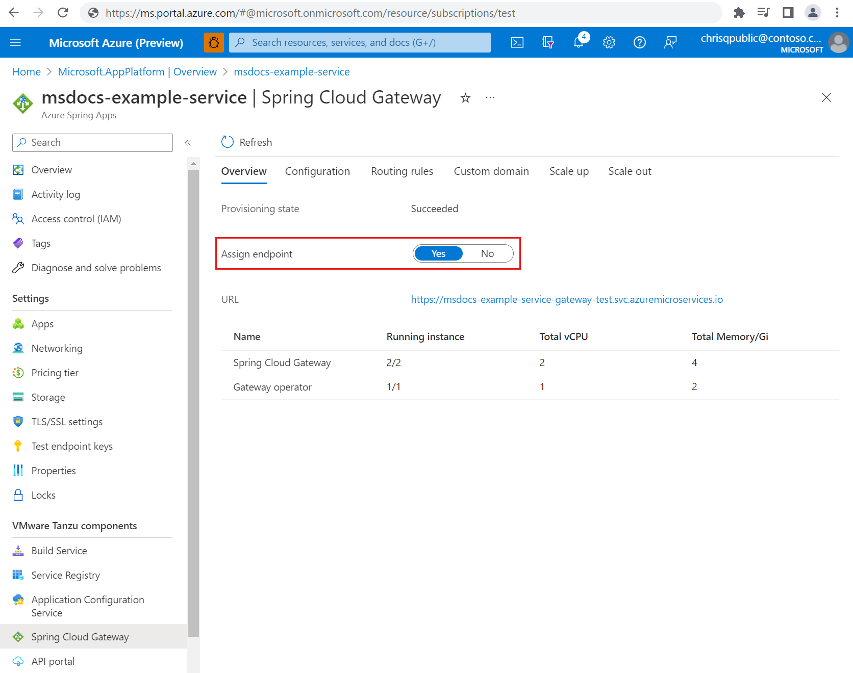 Screenshot of the Azure portal that shows the Spring Cloud Gateway overview page with the toggle for assigning an endpoint.