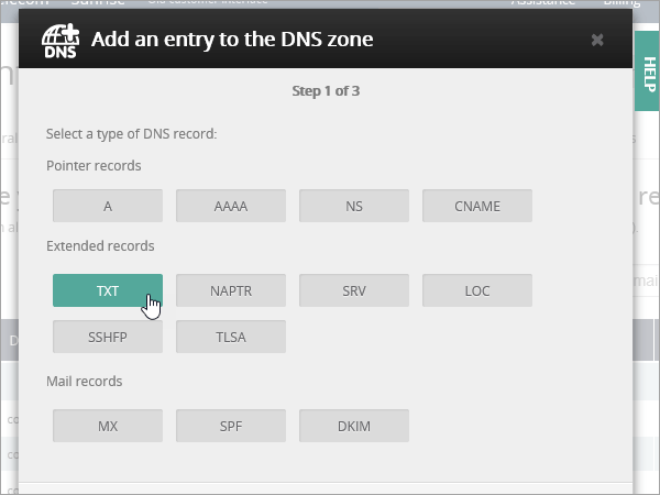 OVH select TXT entry.