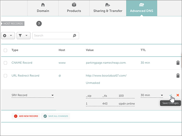 Screenshot of the the Save Changes control for the SRV records for Microsoft Teams.