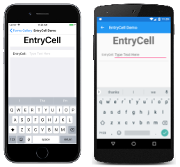 EntryCell Example