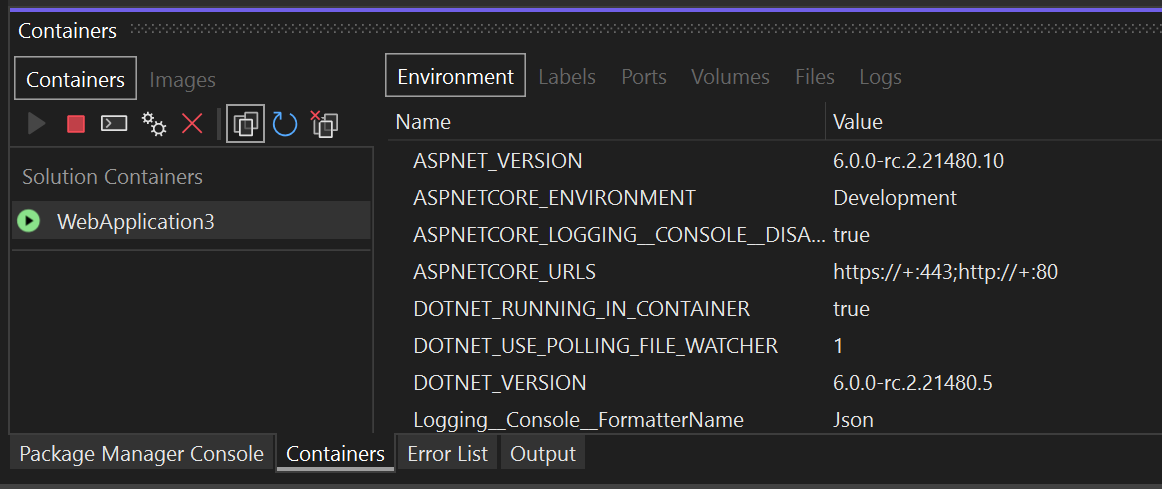 Screenshot of the Containers window in Visual Studio with a container selected in the left pane, and the Environment tab selected in the right pane.