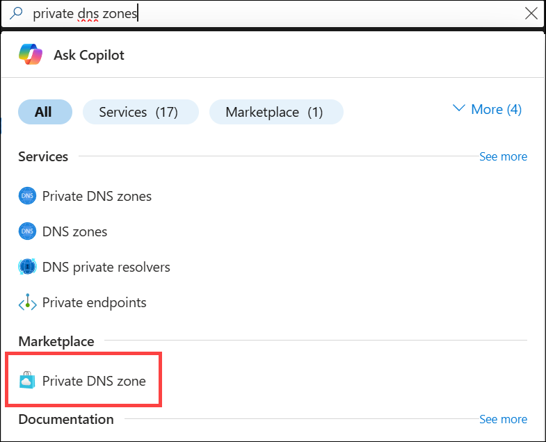 Screenshot of private DNS zones search.