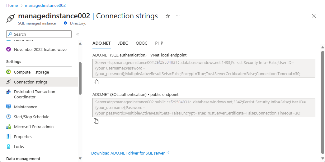 Screenshot shows the connection strings for your public and VNet-local endpoints.