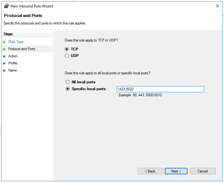 Screenshot of configuring a new rule for the Windows firewall.