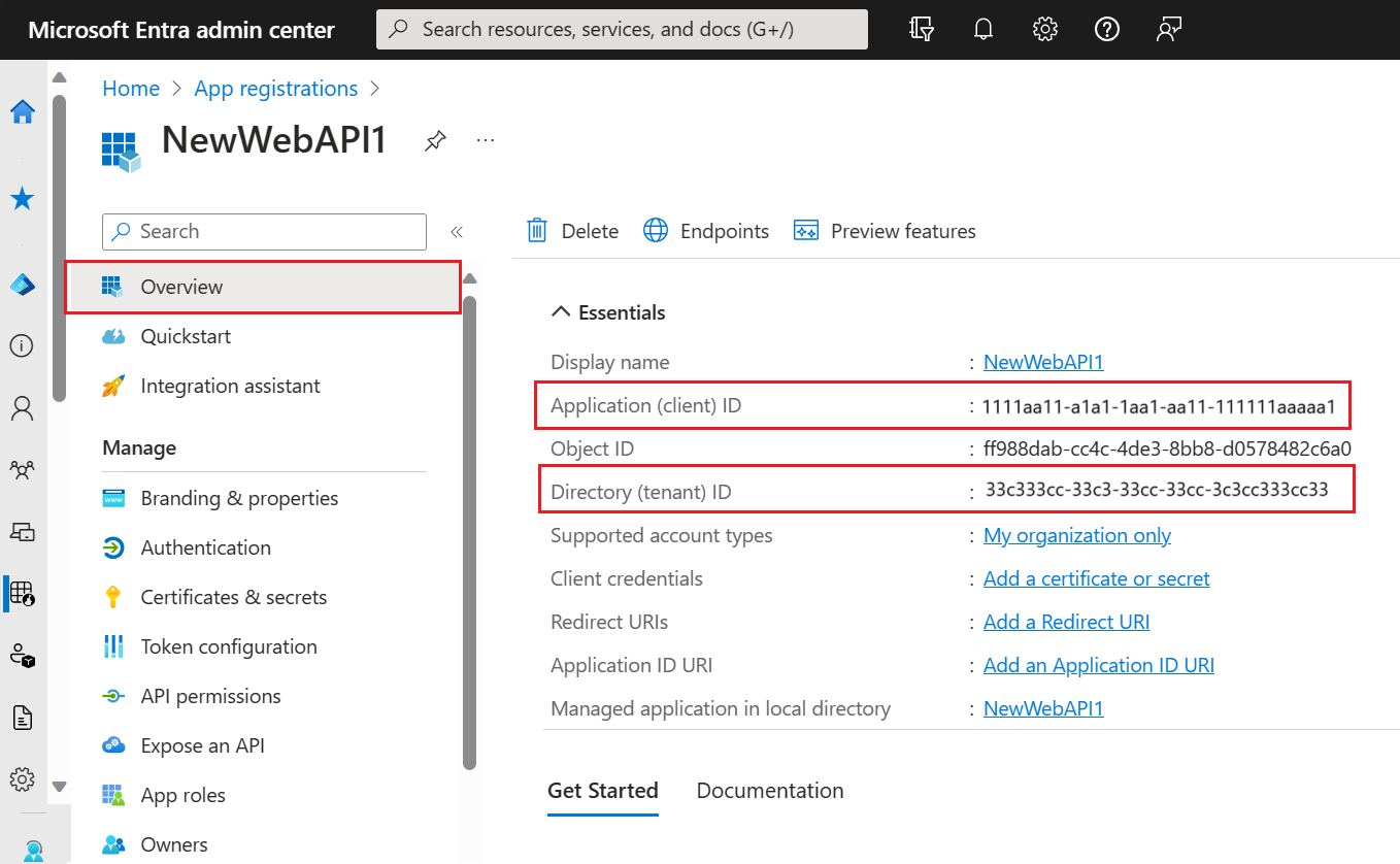 Screenshot that shows the identifier values on the overview page.