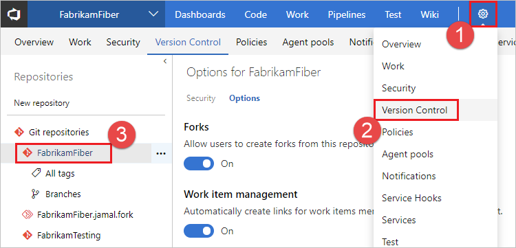 Screenshot that shows the 'Version Control' options for your repository.