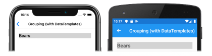 CollectionView with customized group header Screenshot of a customized group header in a CollectionView, on iOS and Android
