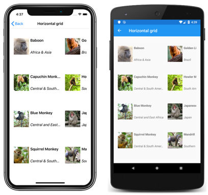 CollectionView horizontal grid layout Screenshot of a CollectionView horizontal grid layout, on iOS and Android