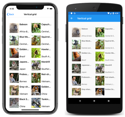 CollectionView vertical grid layout Screenshot of a CollectionView vertical grid layout, on iOS and Android