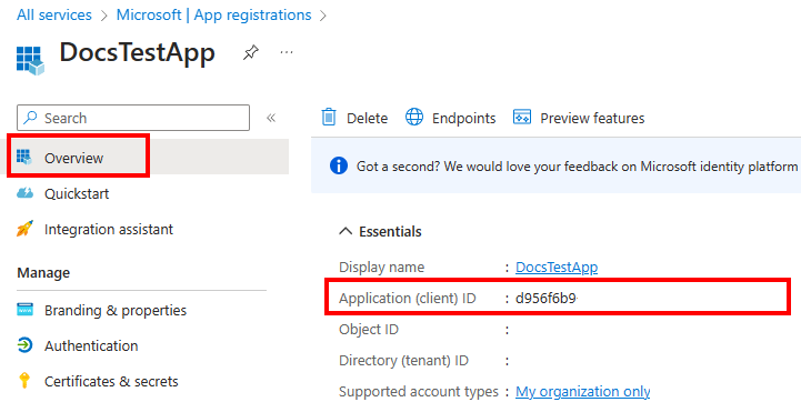 Screenshot of the Application (client) ID value on the Overview pane.