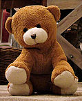imagen de oso de peluche