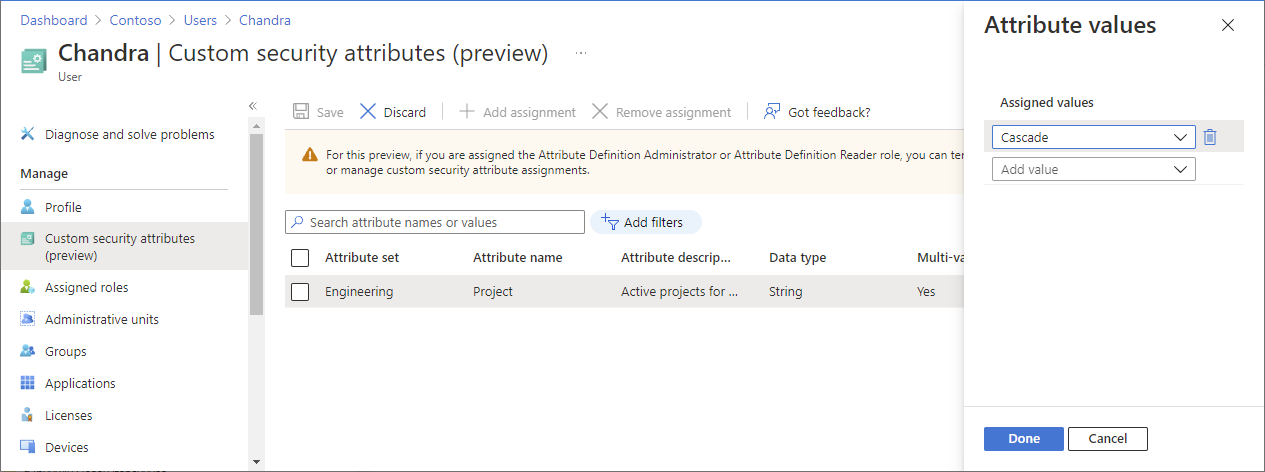 Captura de pantalla de la asignación de un atributo de seguridad personalizado.