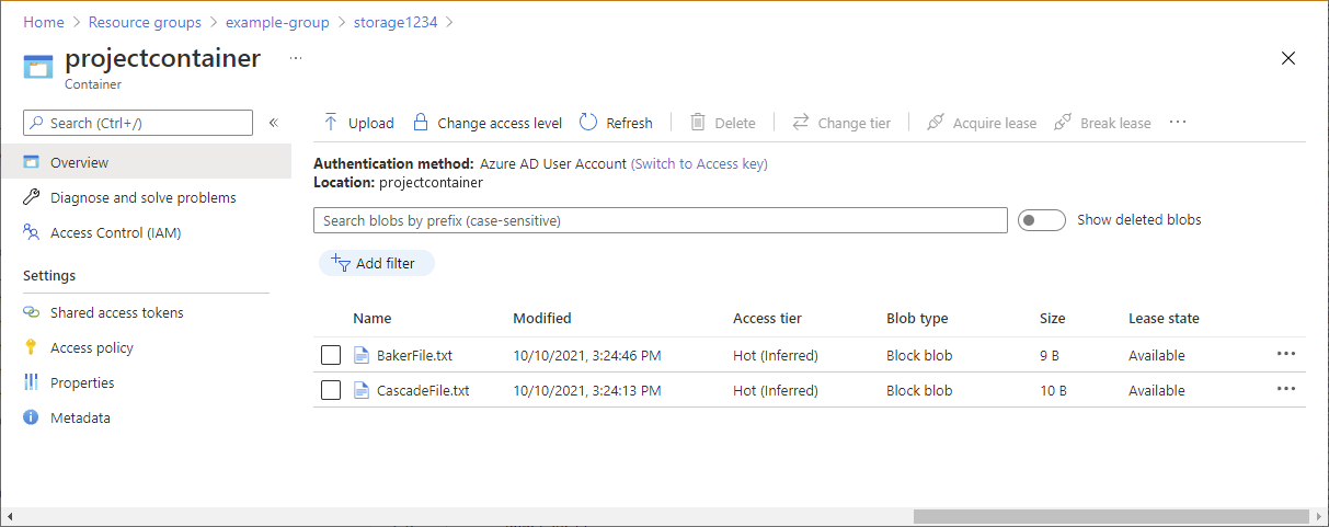 Captura de pantalla del contenedor de almacenamiento con archivos de prueba.
