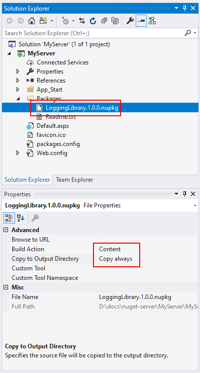 Copiar paquetes en la carpeta Packages del proyecto
