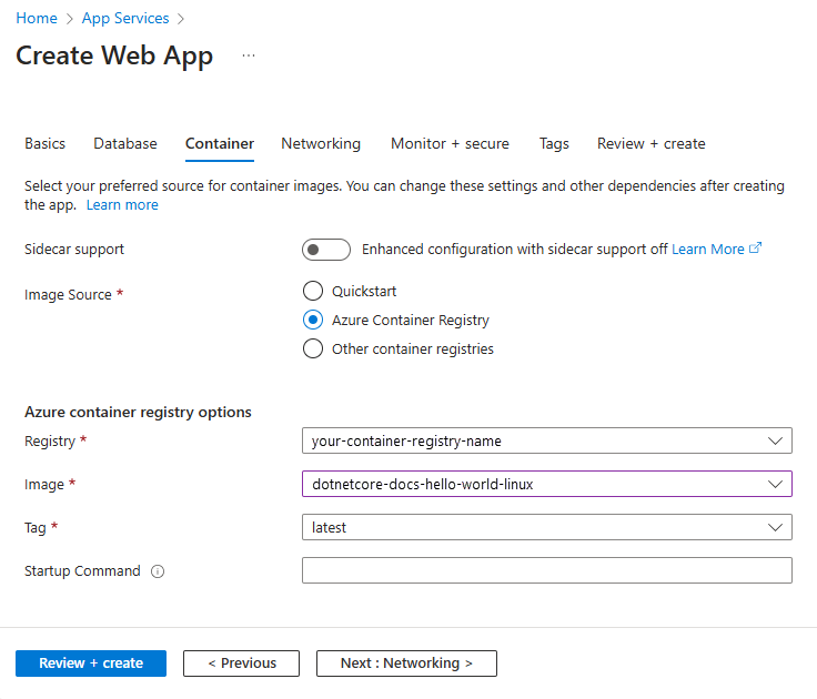 Captura de pantalla que muestra las opciones de Azure Container Registry.