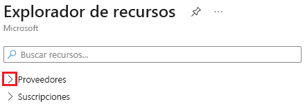 Captura de pantalla de la acción de expandir la sección Proveedores en Azure Resource Explorer.