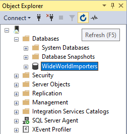 Captura de pantalla de Object Explorer. La base de datos restaurada está resaltada.